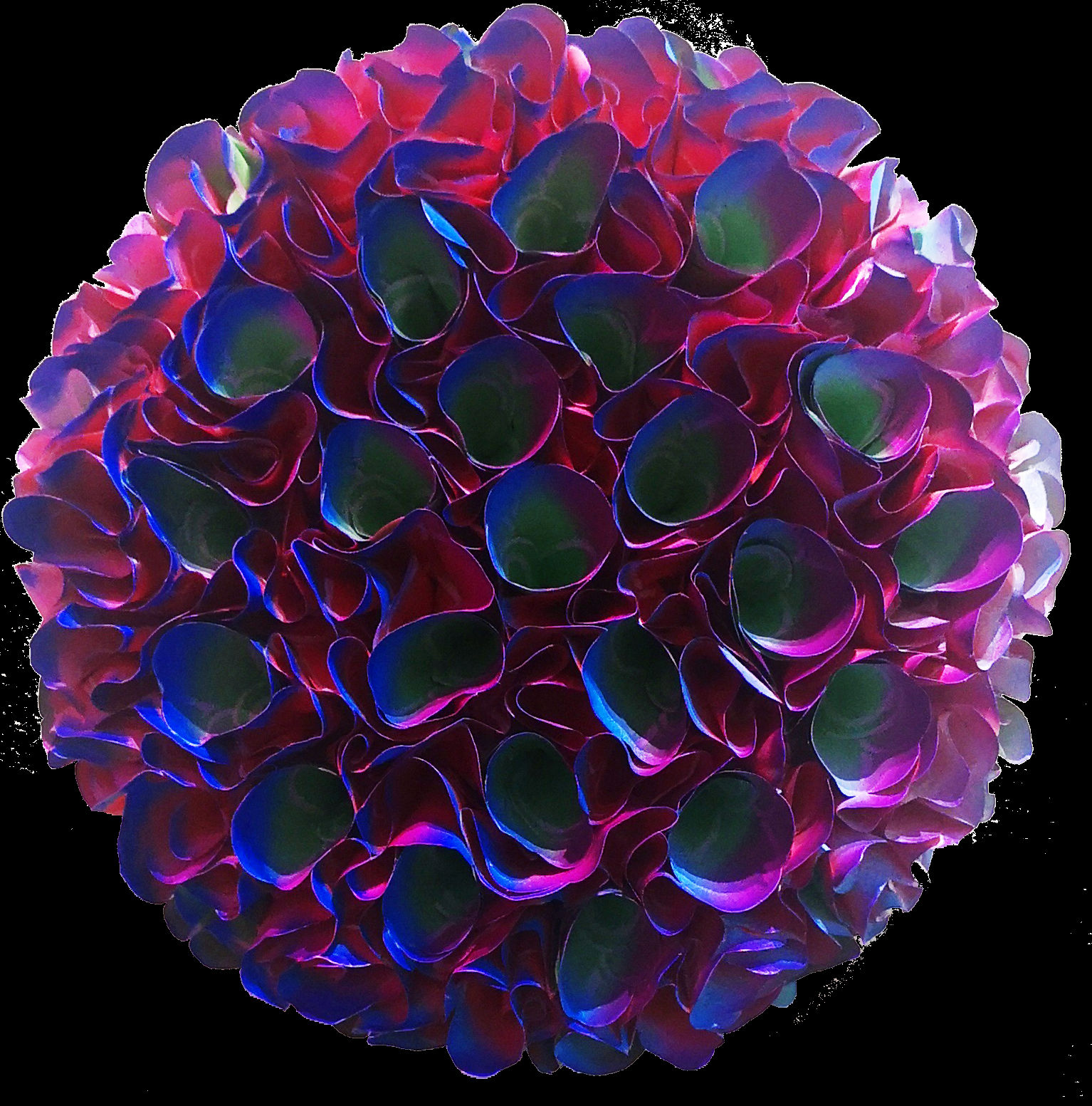 Zhuang Hong-Yi, Mini Flowerbed R126, 2019