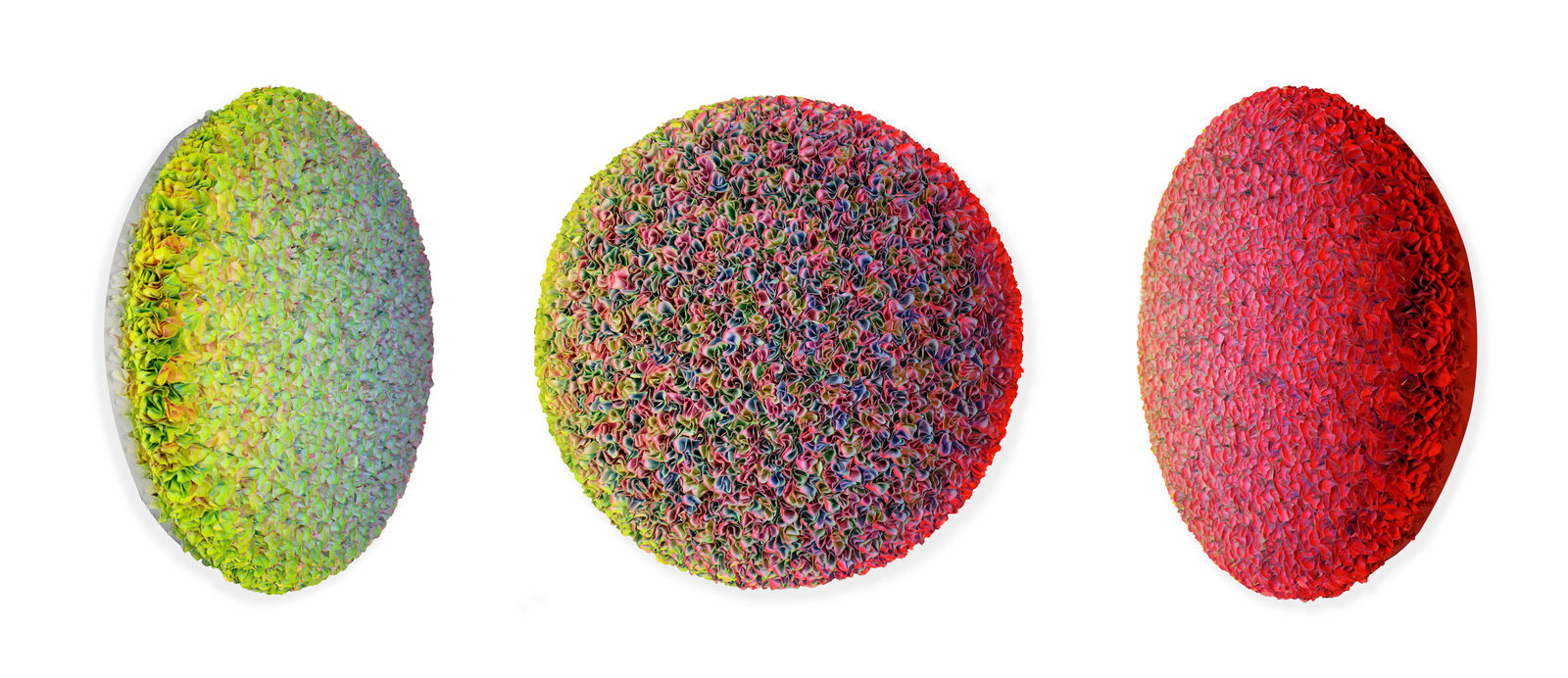 Zhuang Hong-Yi, The Breathing Season, 2025