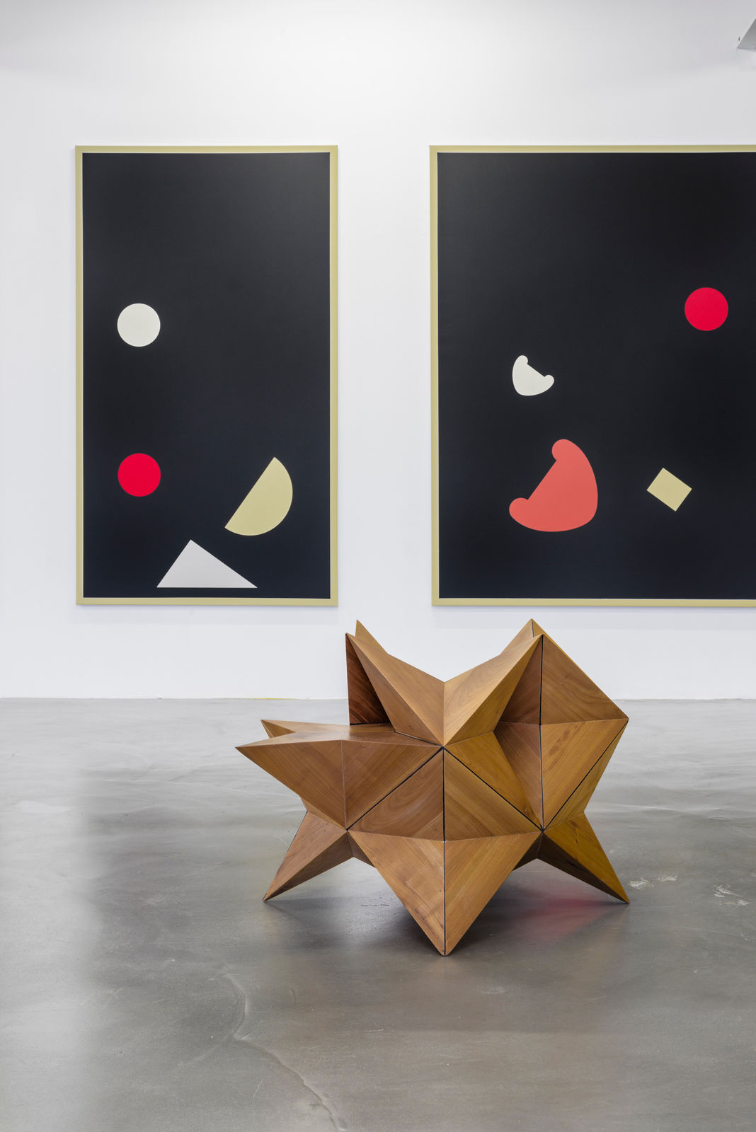 Raphaël Zarka, Lotte Schoenflies, 2016