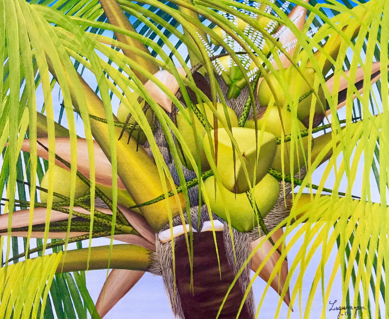 Jean LAGUERRE, Green Coconuts, 2019