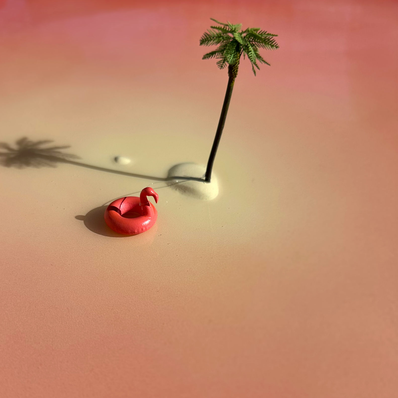 Mathieu Lucas, Méditérrannée , 2026