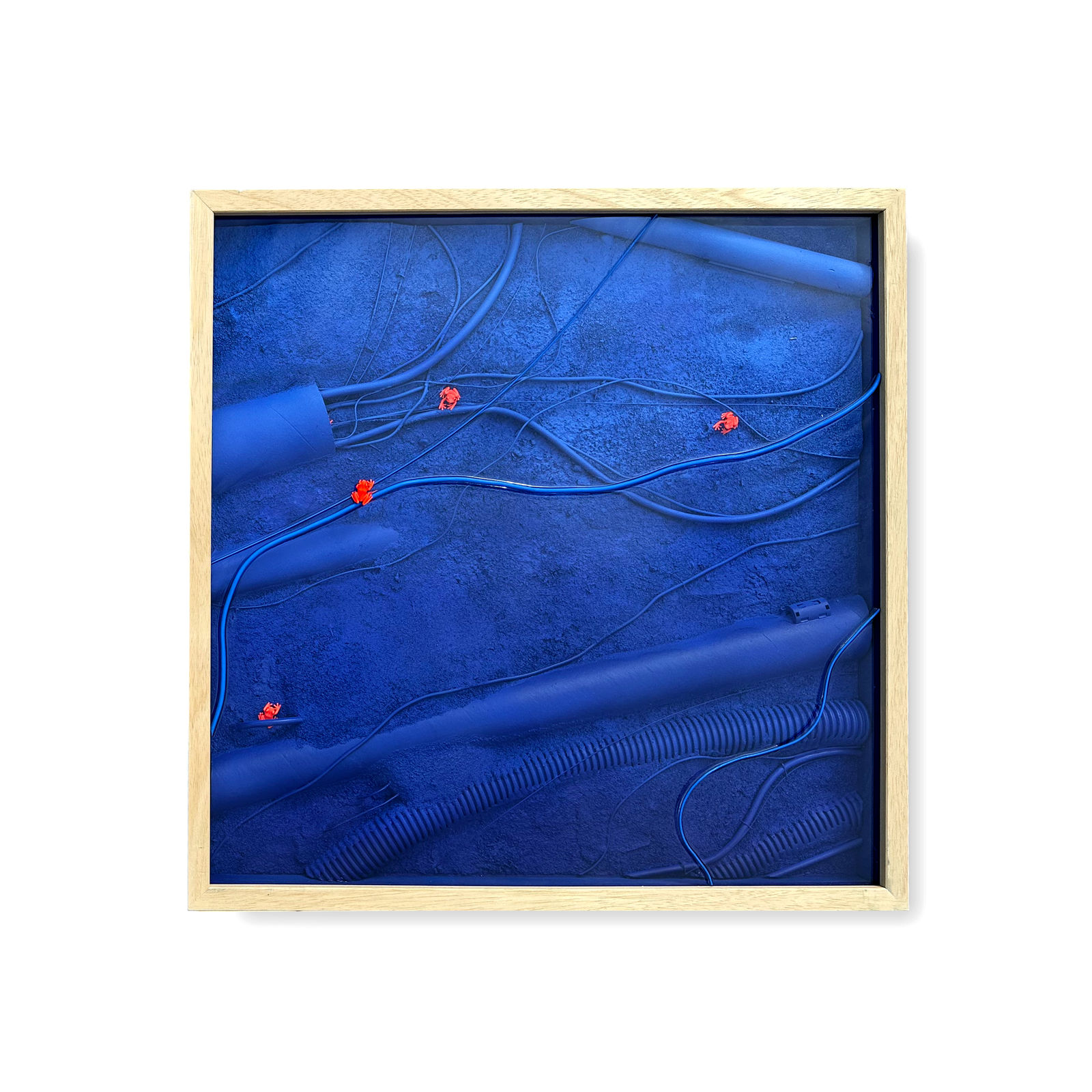 Mathieu Lucas, Ranas, 2026