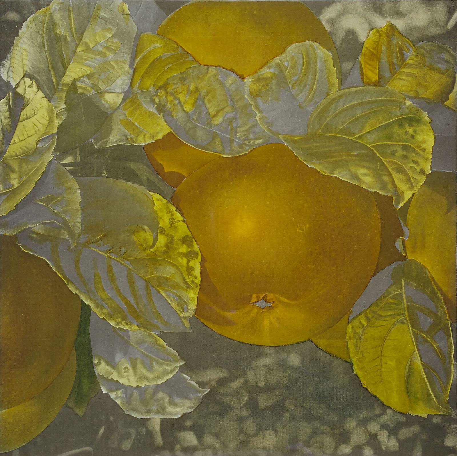 KARIN KNEFFEL, Untitled, 1996