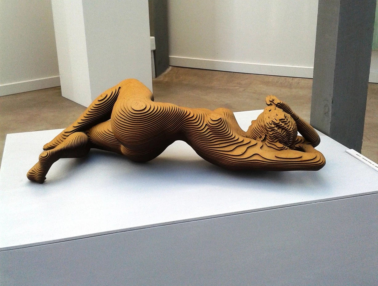 Olivier Duhamel, Phillendron