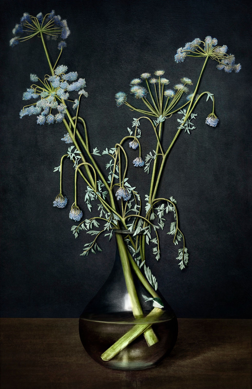 Justine Tjallinks, Cow Parsley, Series ''Stills'', 2021
