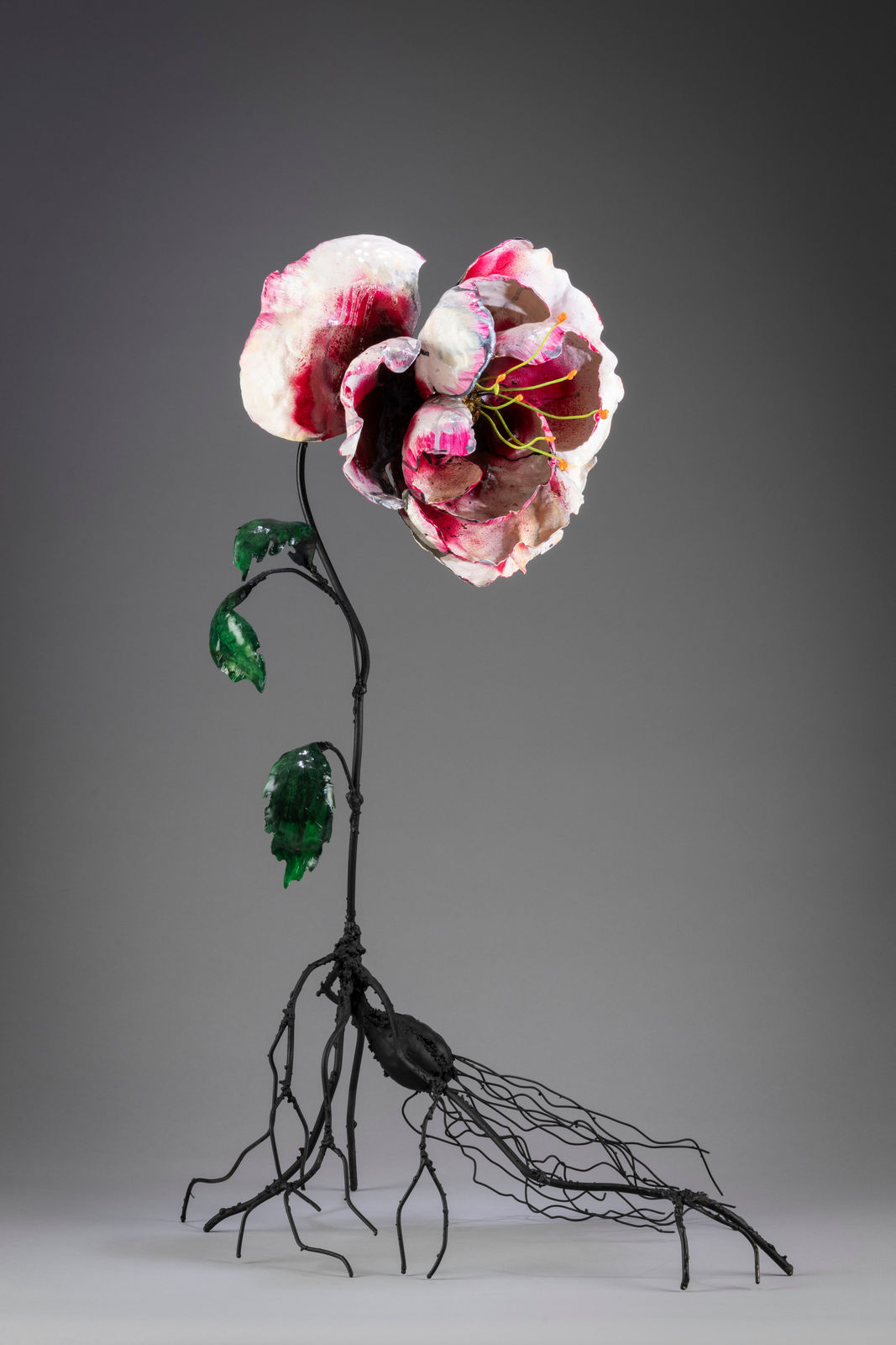 Melissa Ichiuji, Peony, 2023