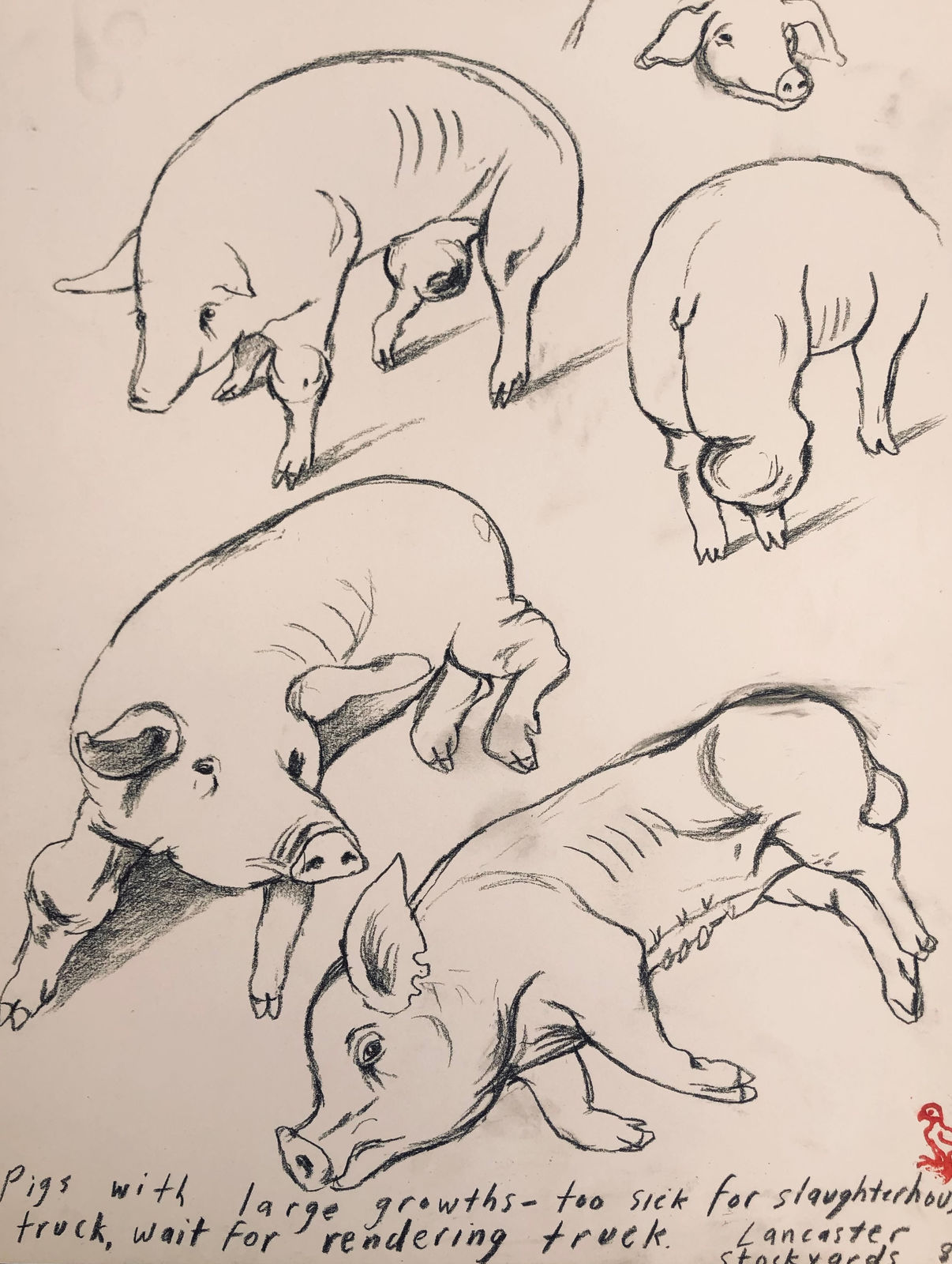 Sue Coe, Pigs with Large Growths, 1989