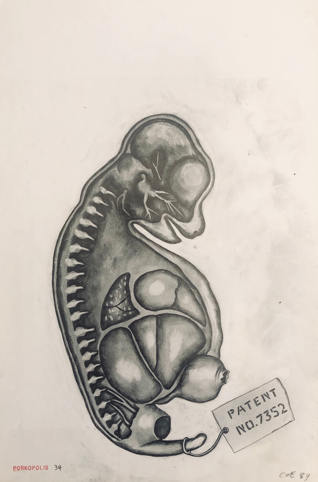 Sue Coe, Patent No. 7352, 1989