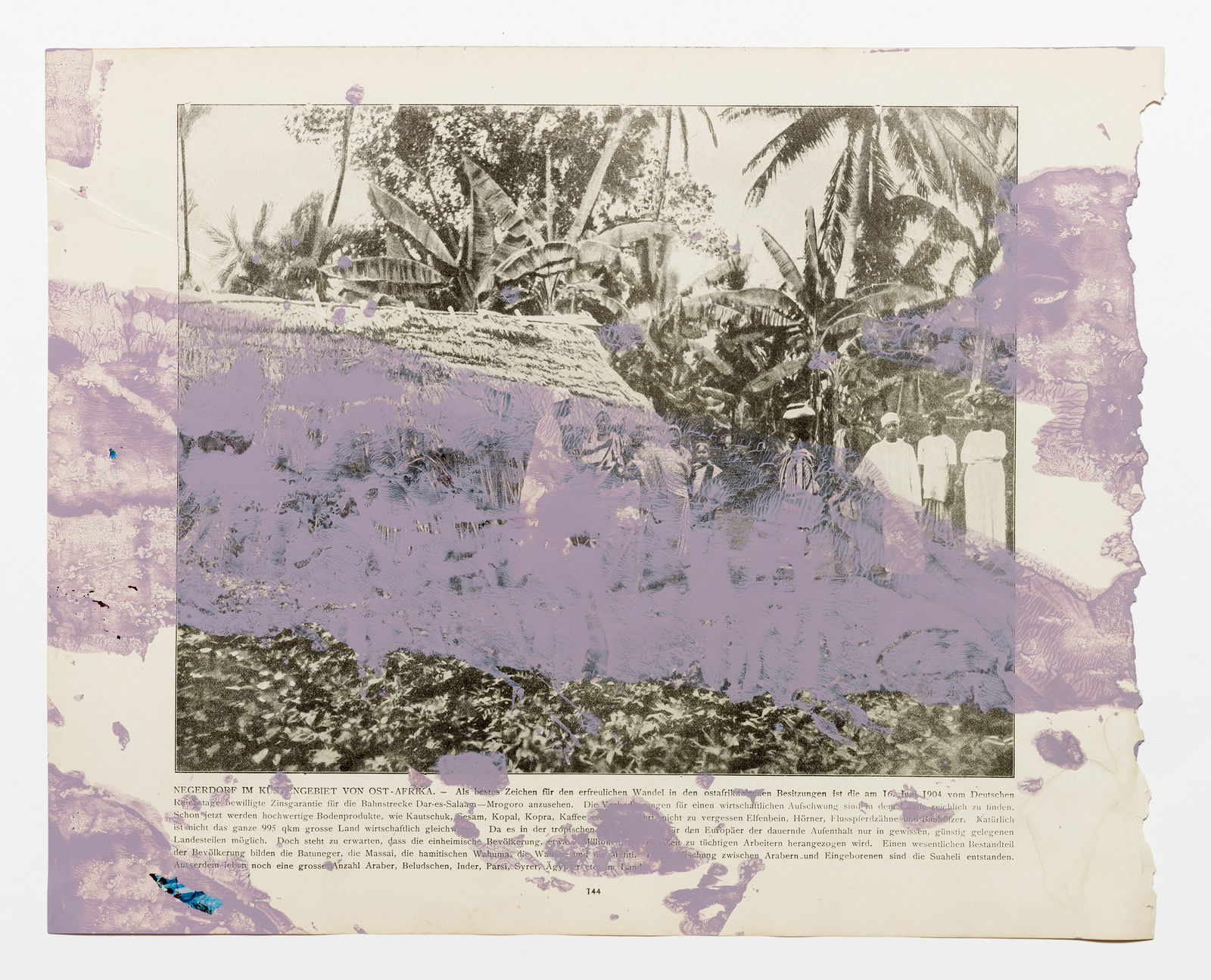 Danilo Dueñas, Banana tree and hut in Negersdorf, 2013