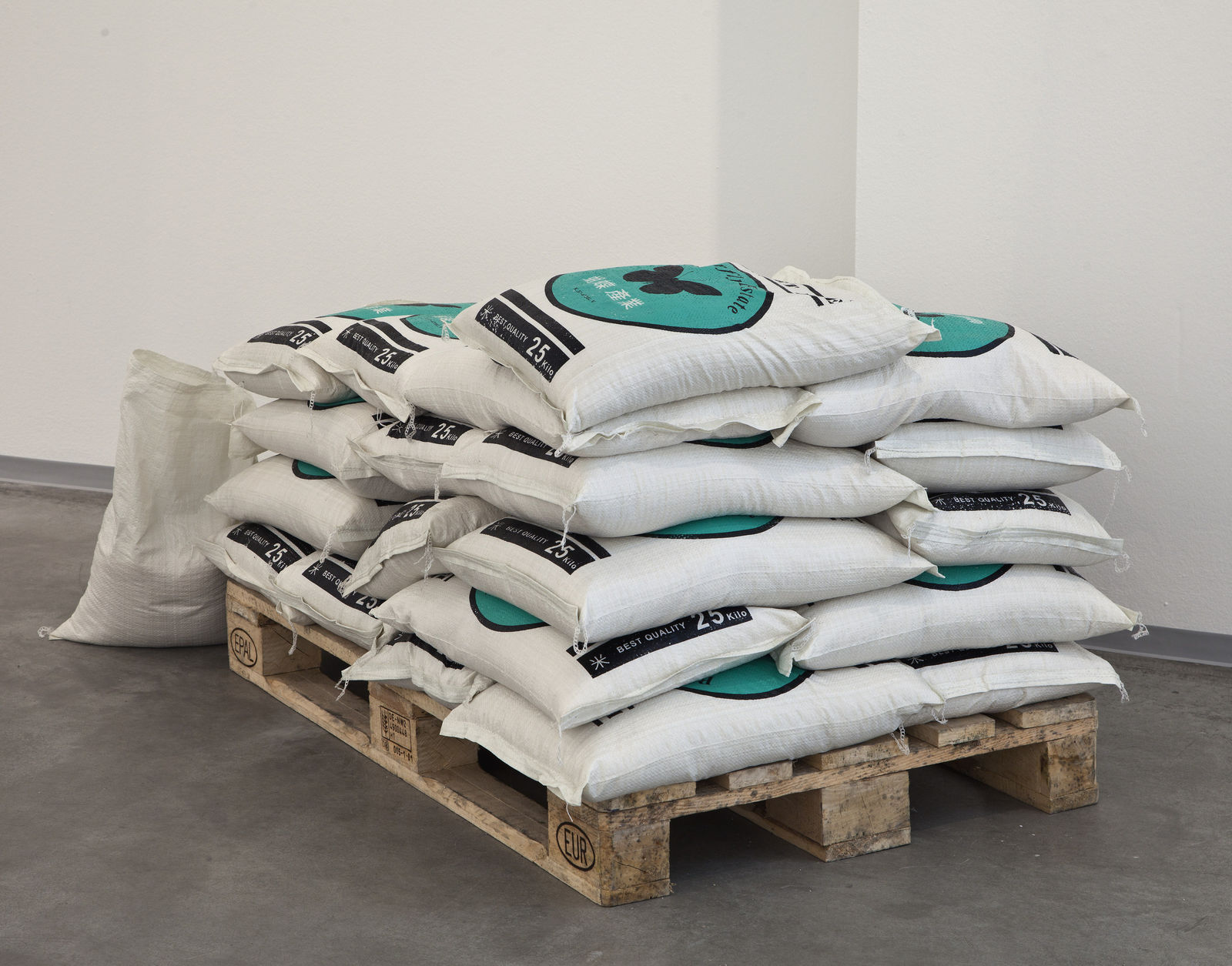 Michael Müller, Reale Wirtschaftsgüter, 2013