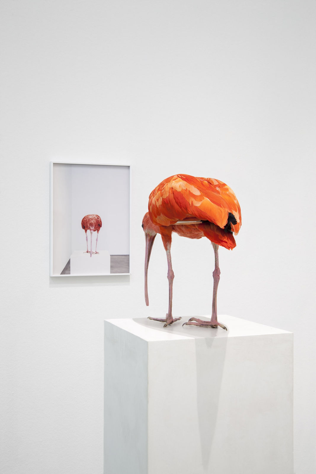 Michael Müller, Spiegelwächter, 2013