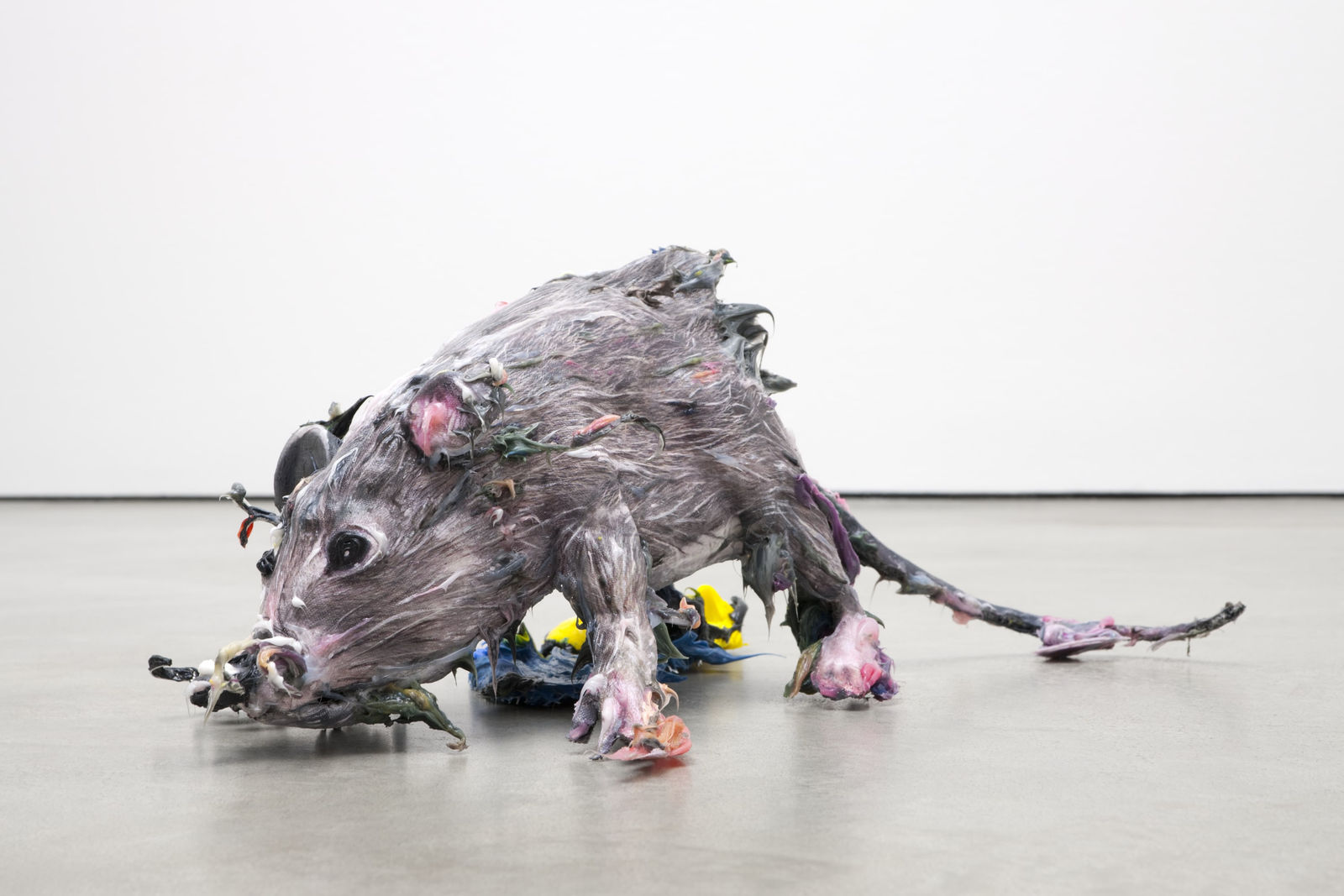 Marcaccio-Ratte-8757