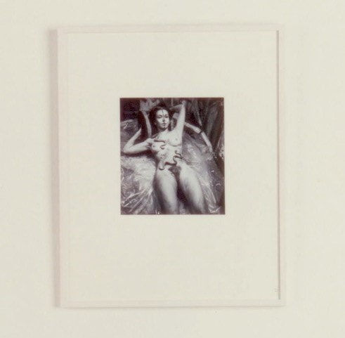 Carolee Schneemann, Eye Body 1963, 1963