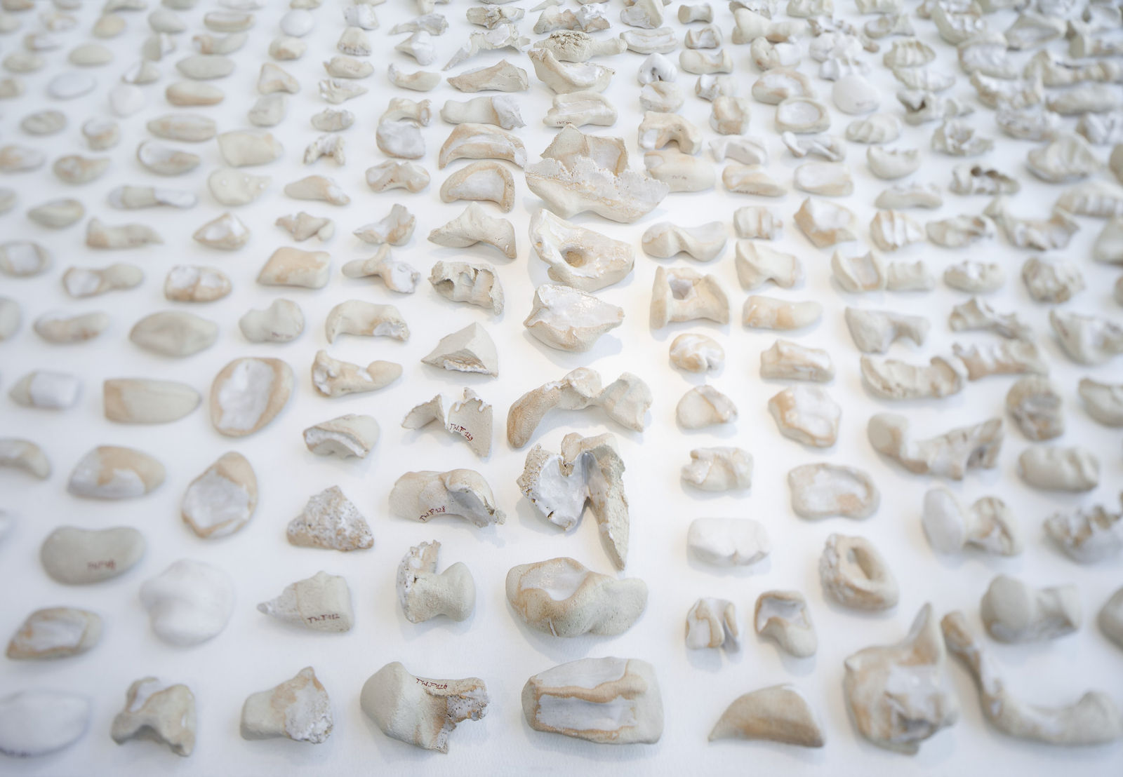 Michael Müller, Tageswerk, 2015