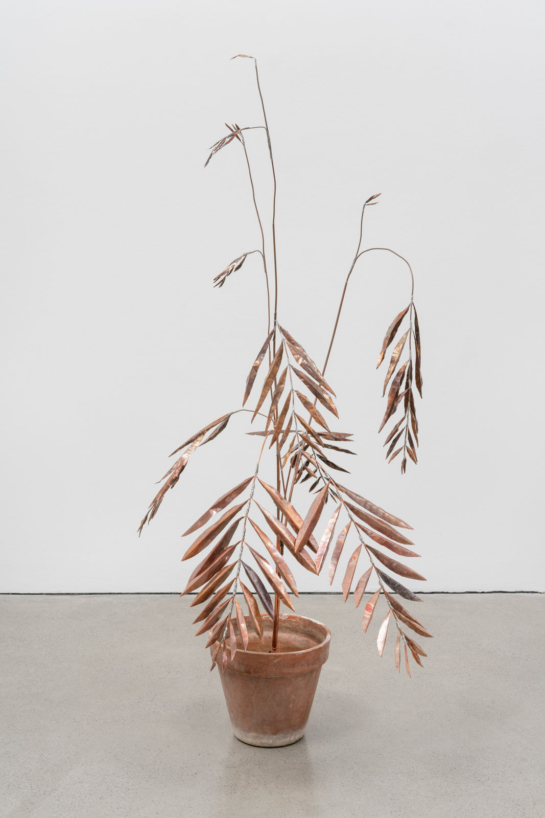 José Montealegre, página 0425, figura 2, 2023