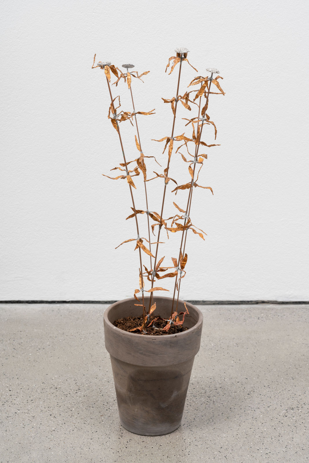 José Montealegre, página 254, 2021