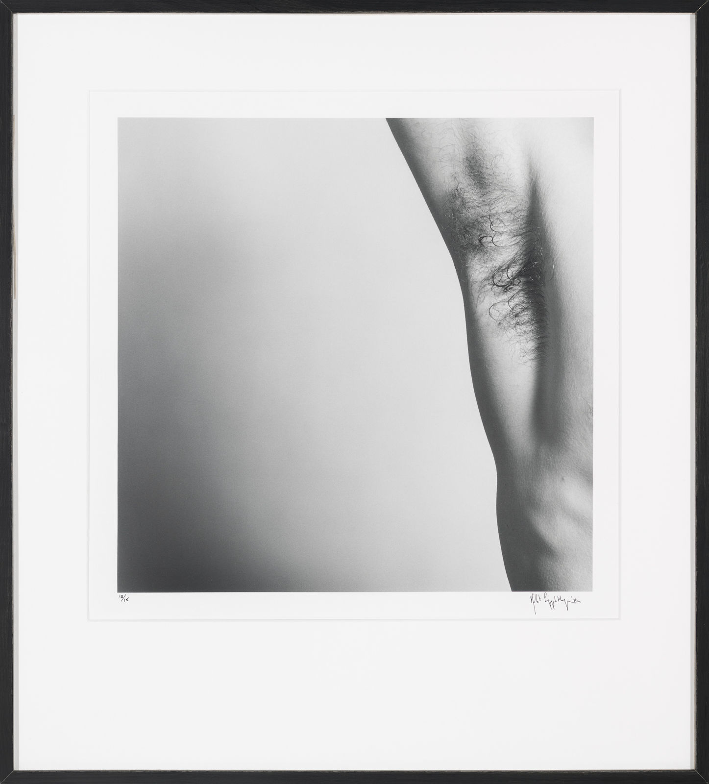 Mapplethorpe-604o