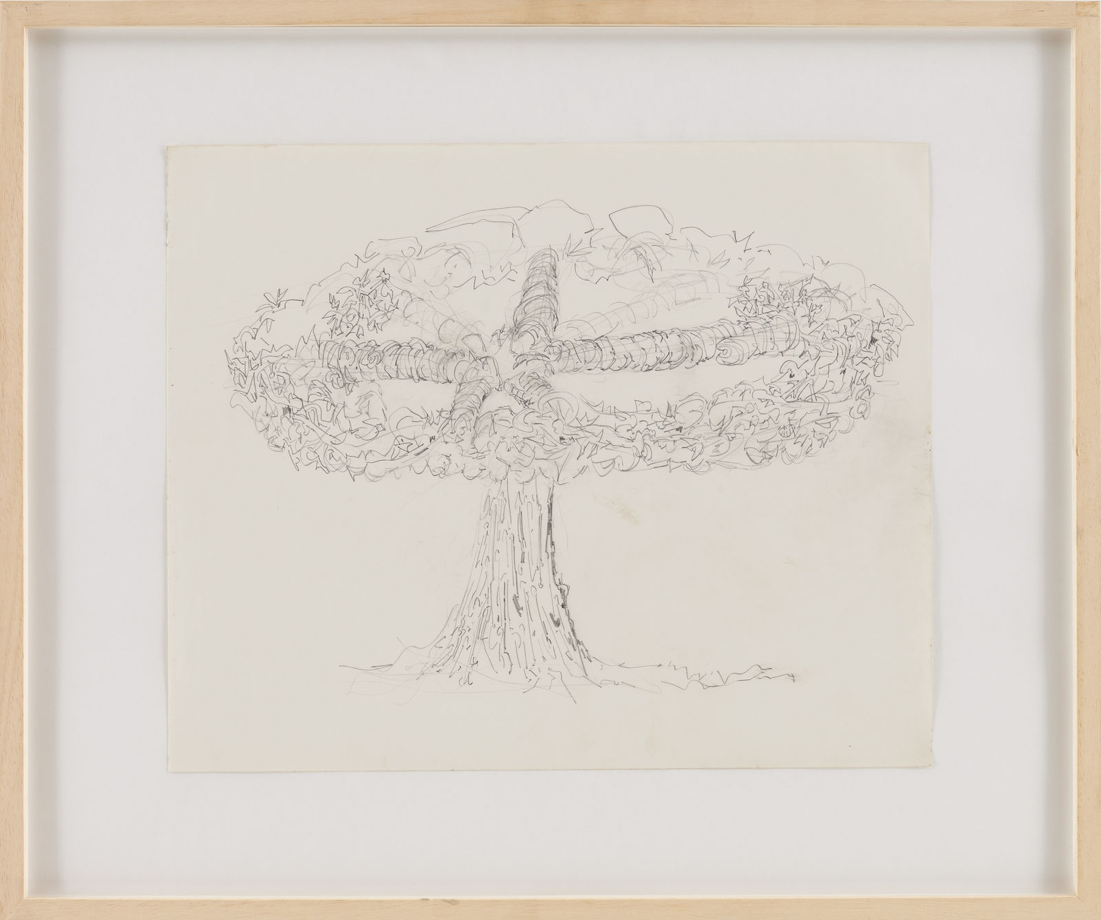 Gordon Matta-Clark, Energy tree, 1972-1973