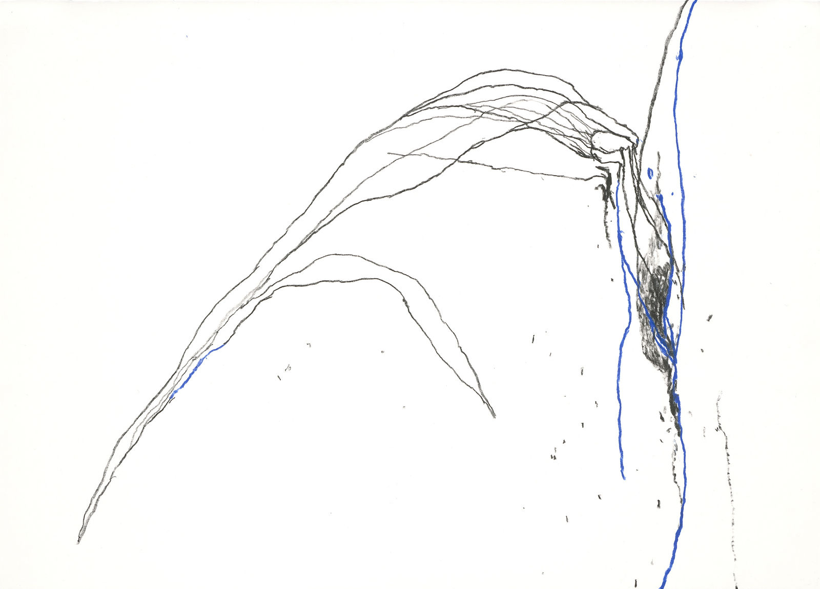 Paco Knöller_The thinking reed