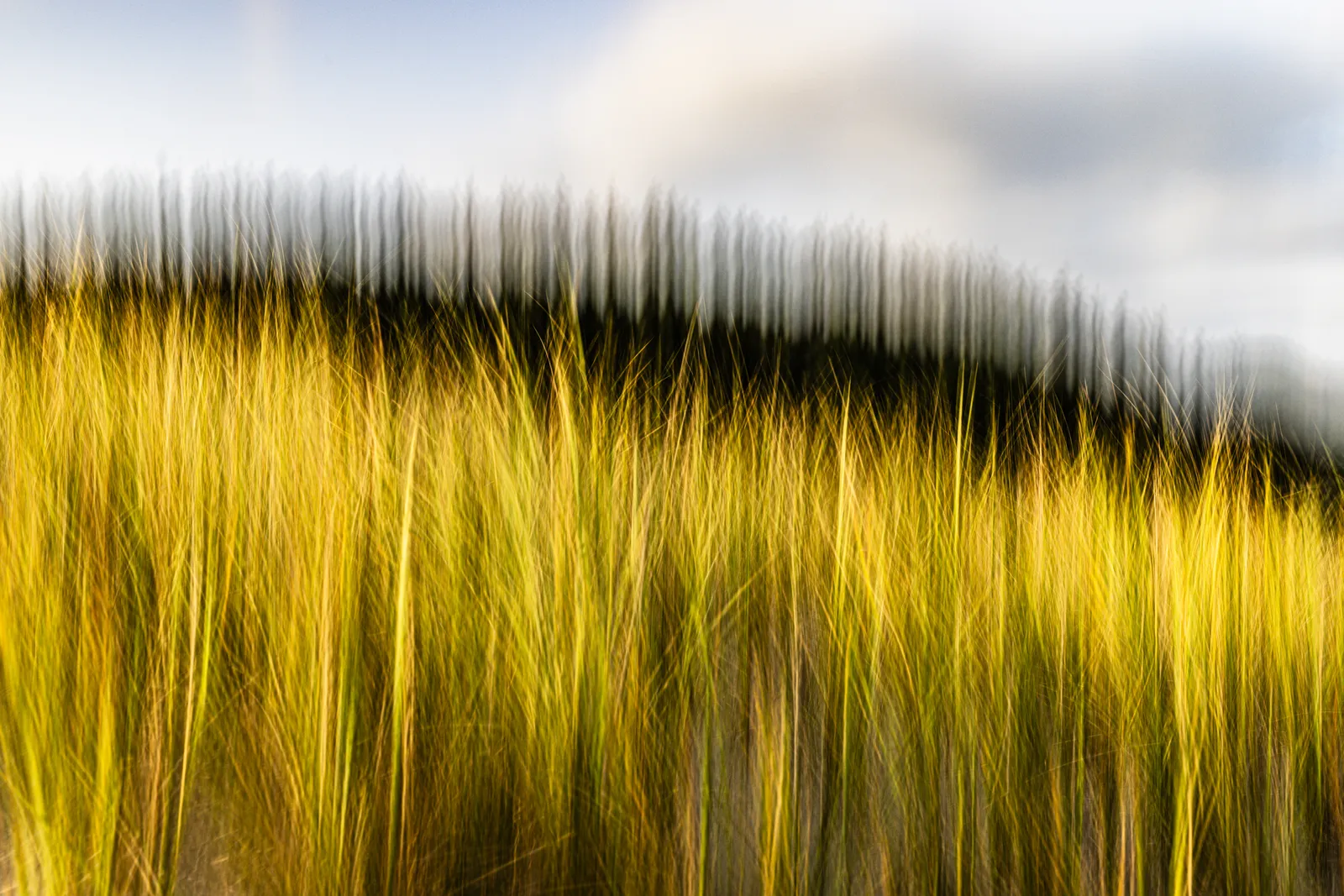 Jean-Sebastien Véilleux, Élévation, 2024