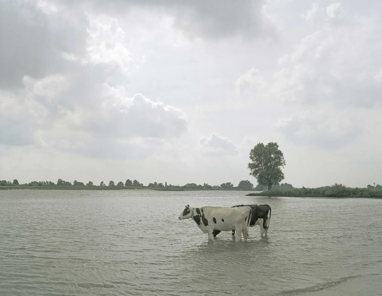 Han Singels, 11 kl Uiterwaarden bij Graaf 2 2005