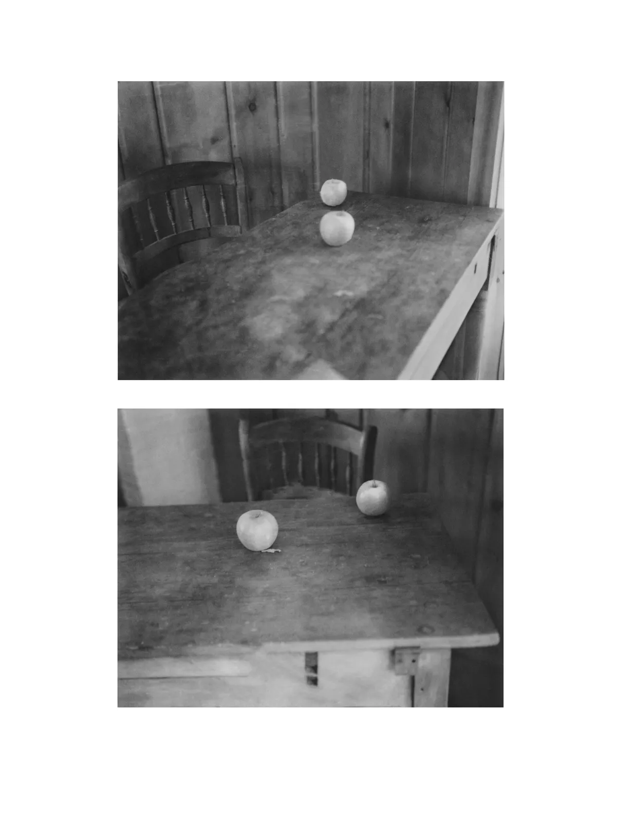 Ruth Lauer Manenti, Apples Dyptich, 2017