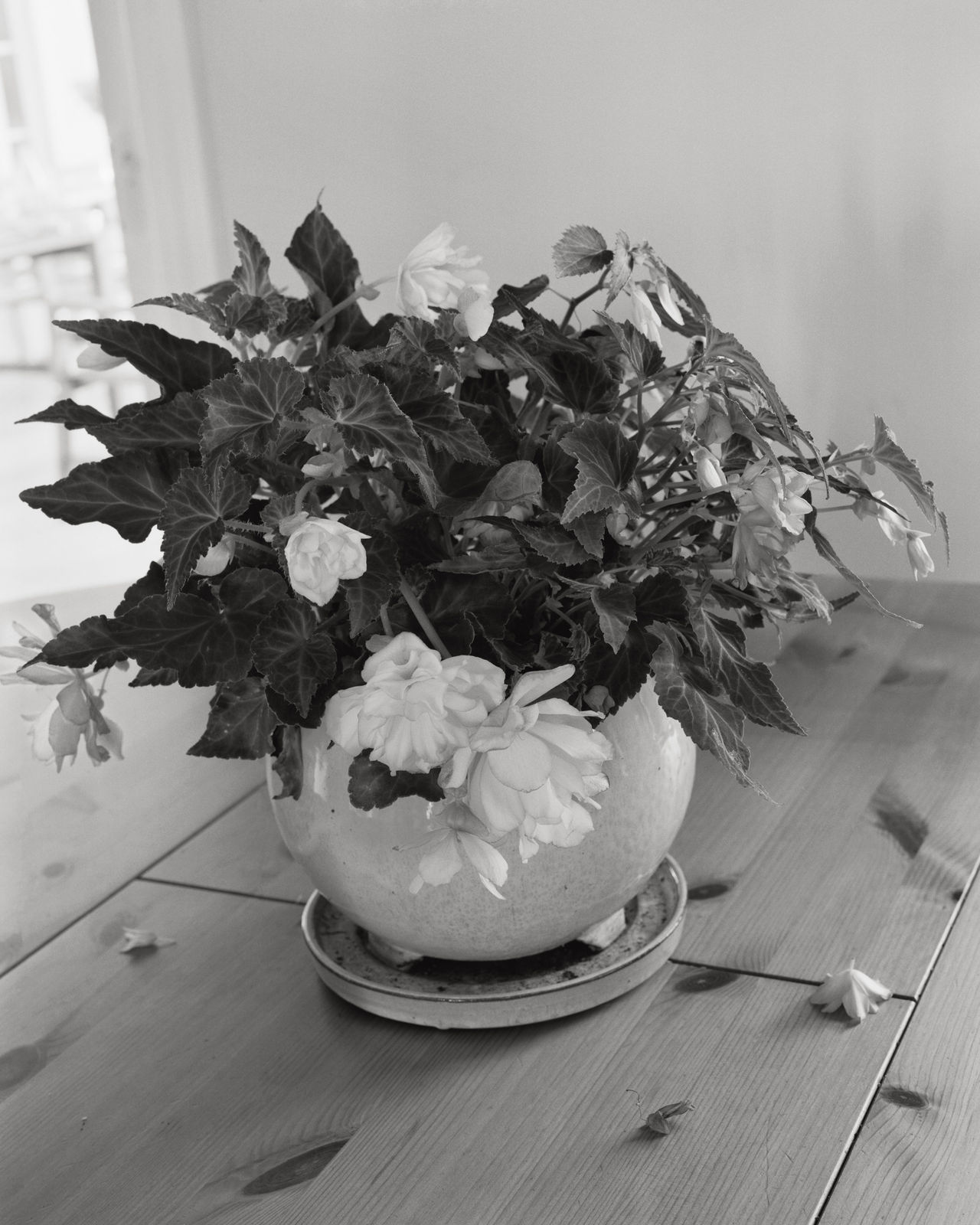 Jenia Fridlyand, Entrance to our valley 20_01