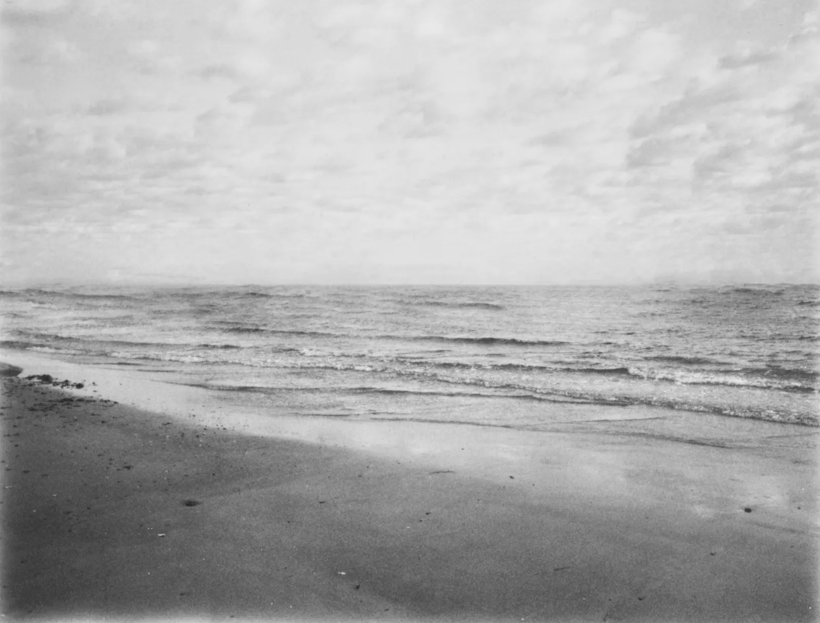 Ruth Lauer Manenti, The Sea, 2017