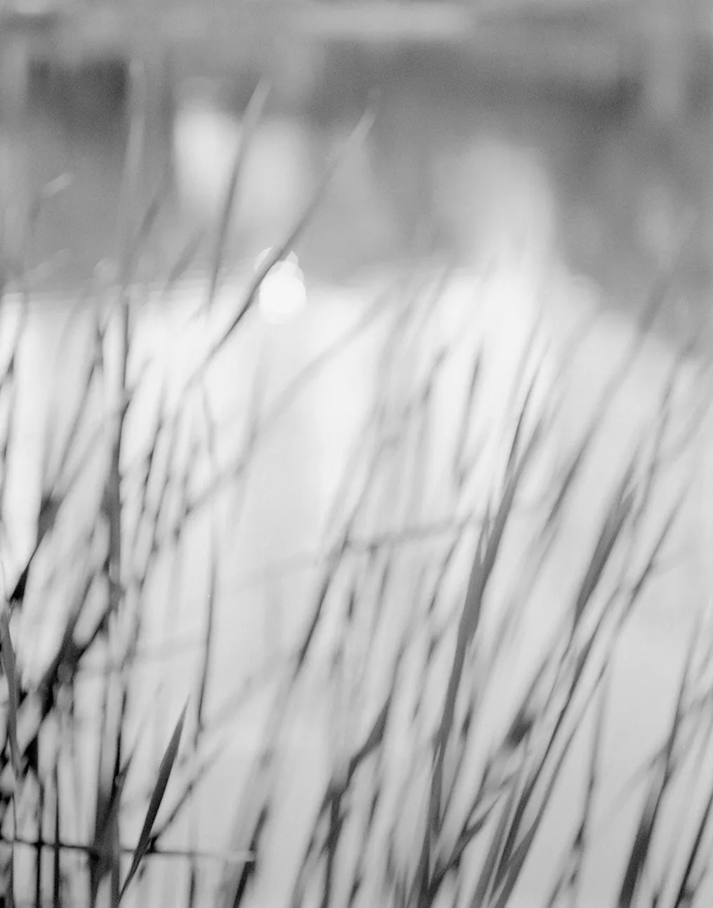 Donovan Smallwood, Languor 28