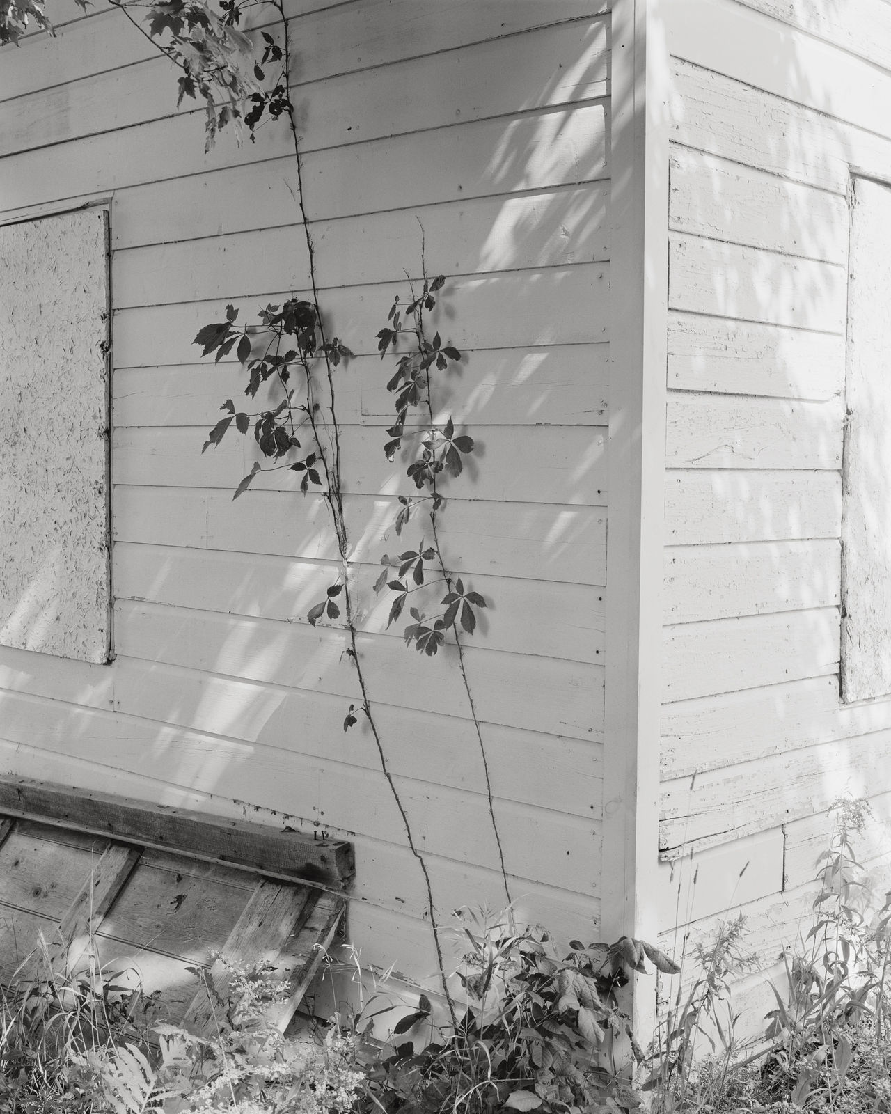 Jenia Fridlyand, Entrance to our valley 20_05