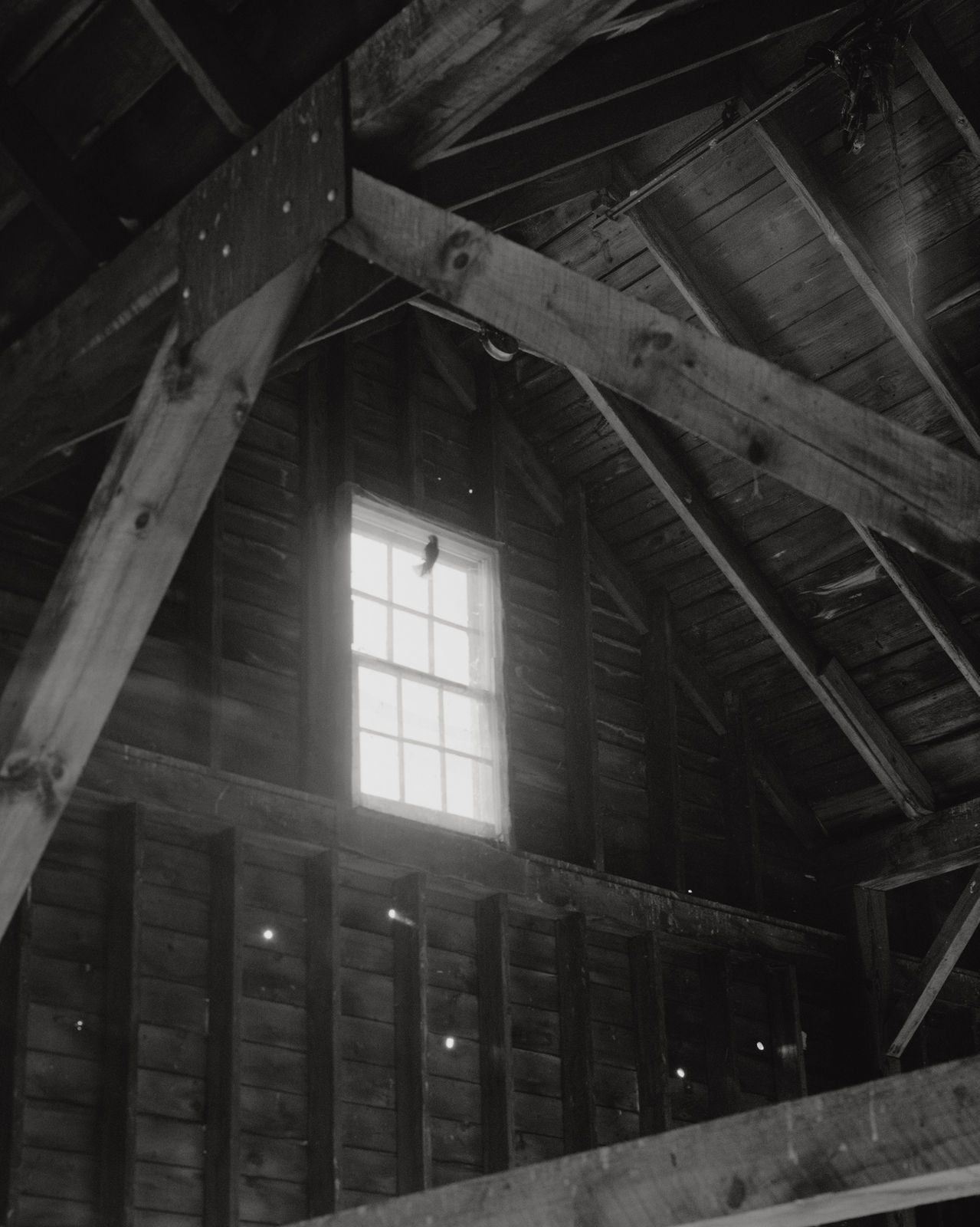 Jenia Fridlyand, Entrance to our valley 20_06