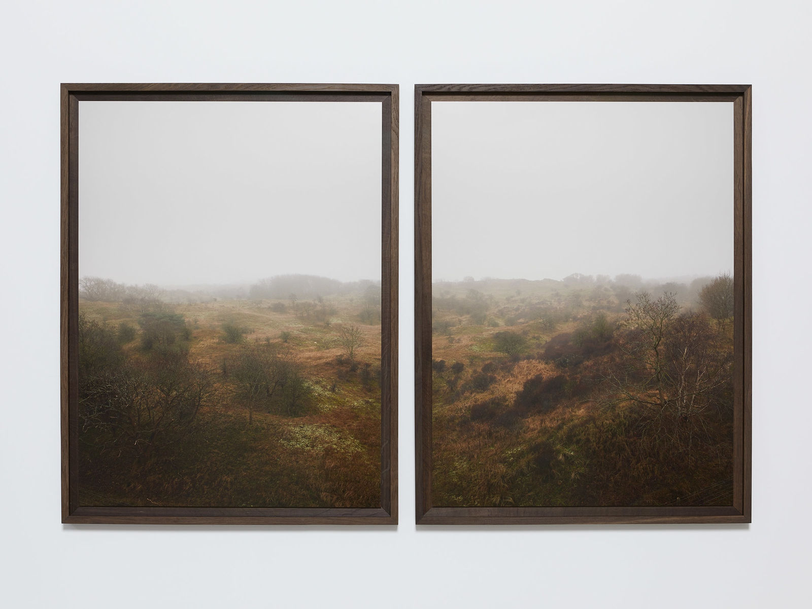 Jeroen Hofman, Diptych, Wassenaar, 2024