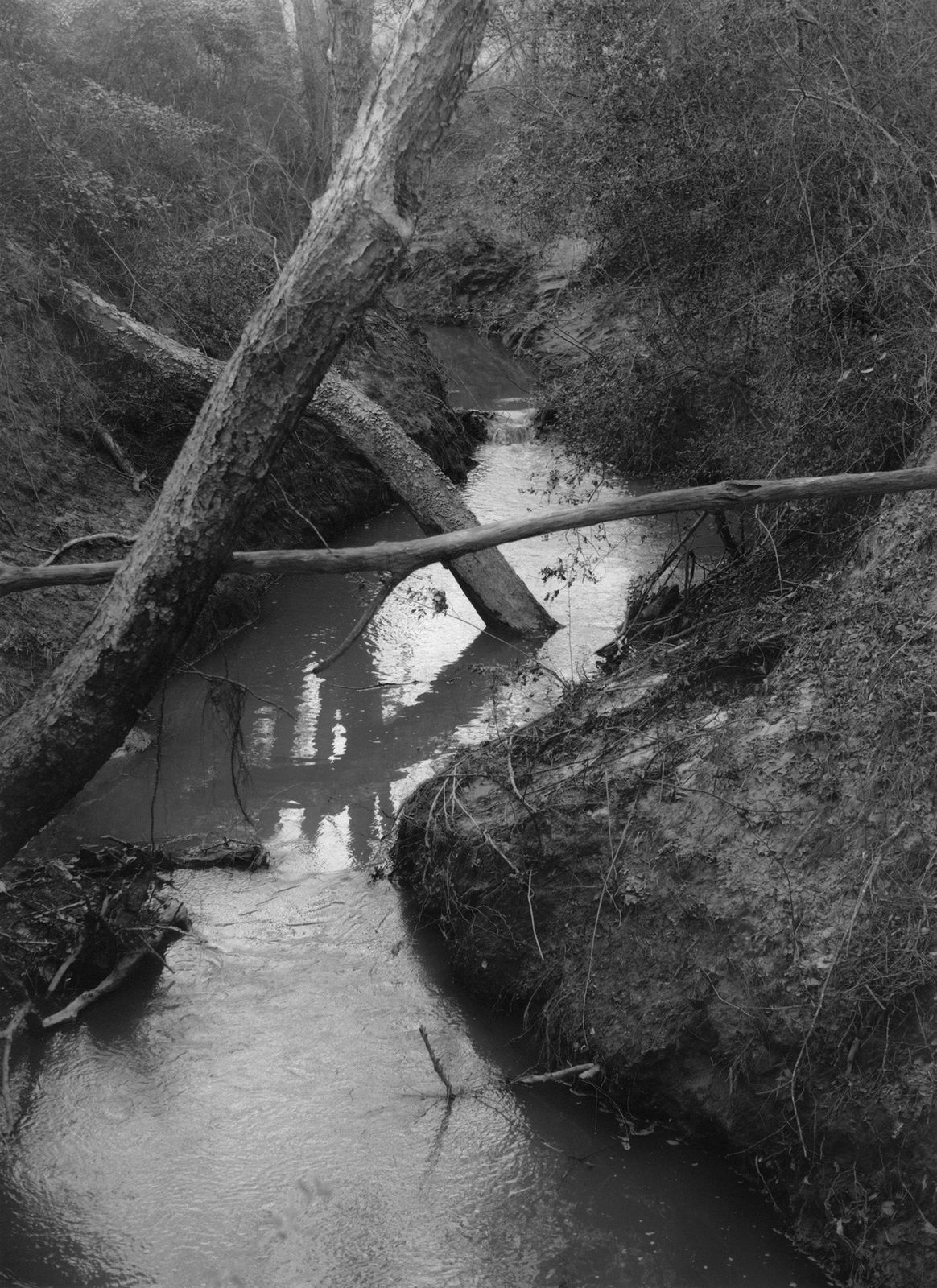 Bryan Schutmaat, Creek 1