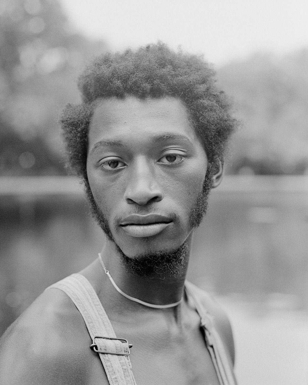 Donovan Smallwood, Languor 2