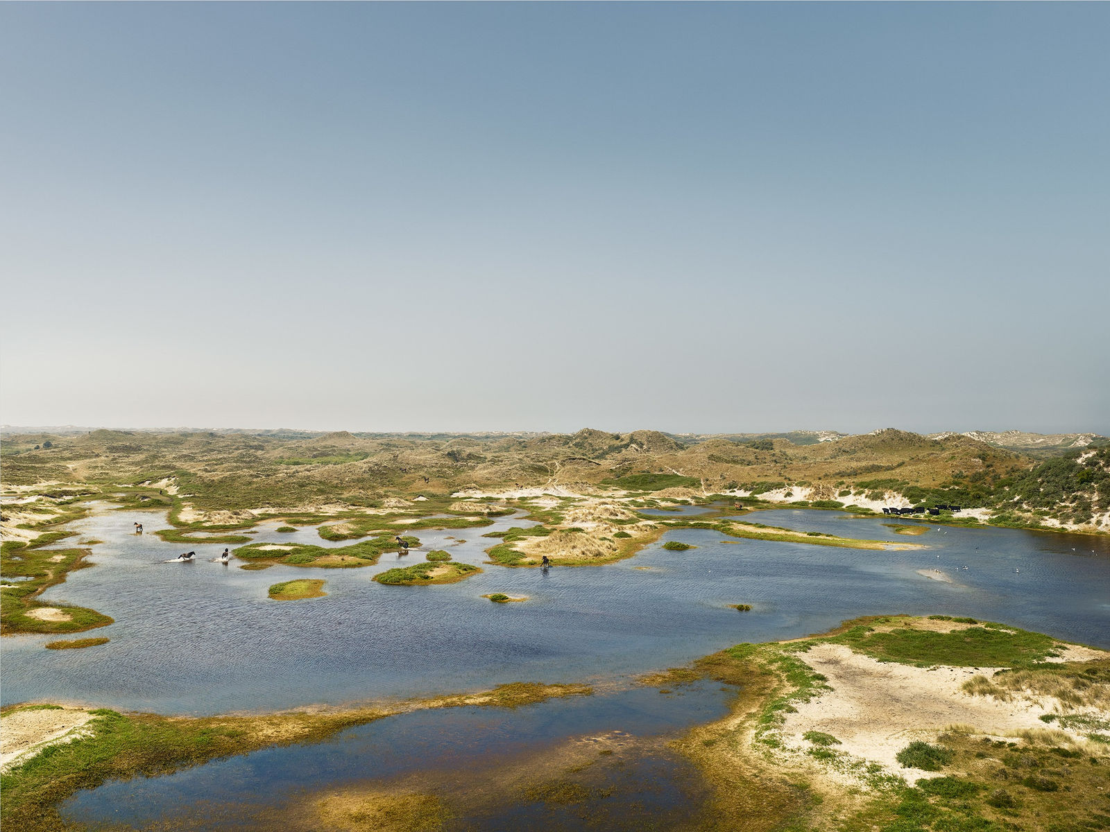 Jeroen Hofman, Eldorado, Terschelling, Eiland, 2018
