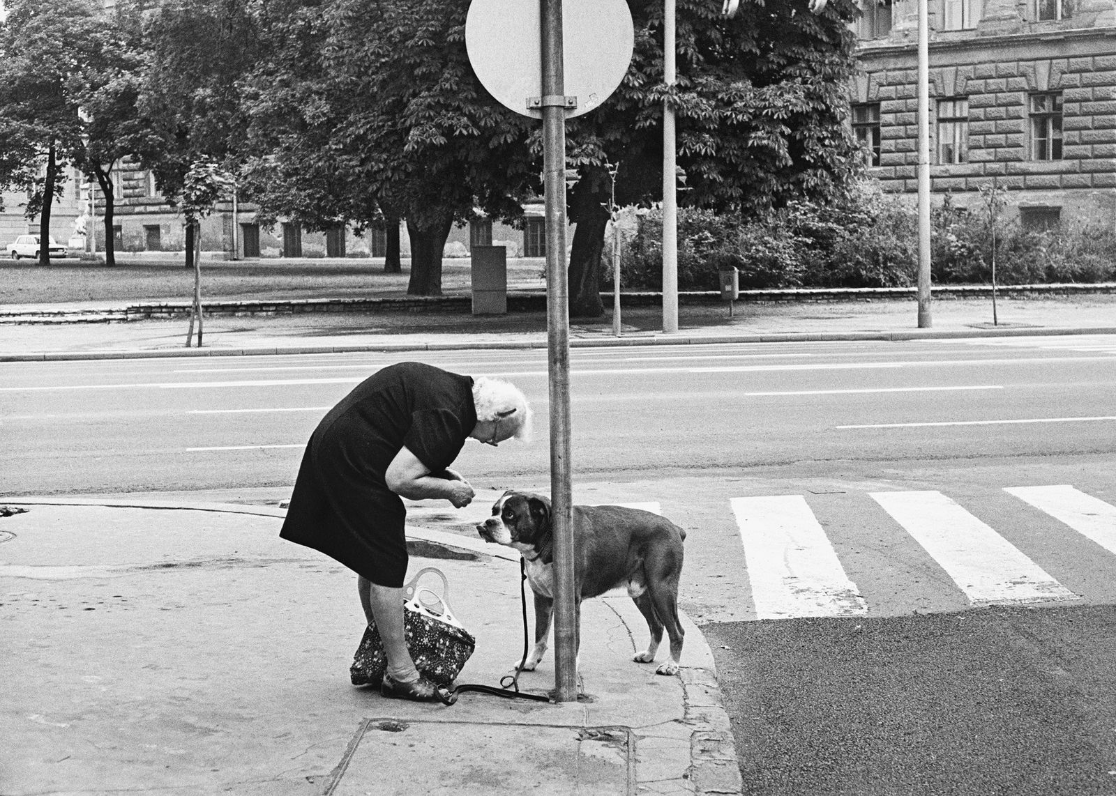 Hans van der Meer, HvdM_MMp89_HUN_ 85_53_32a