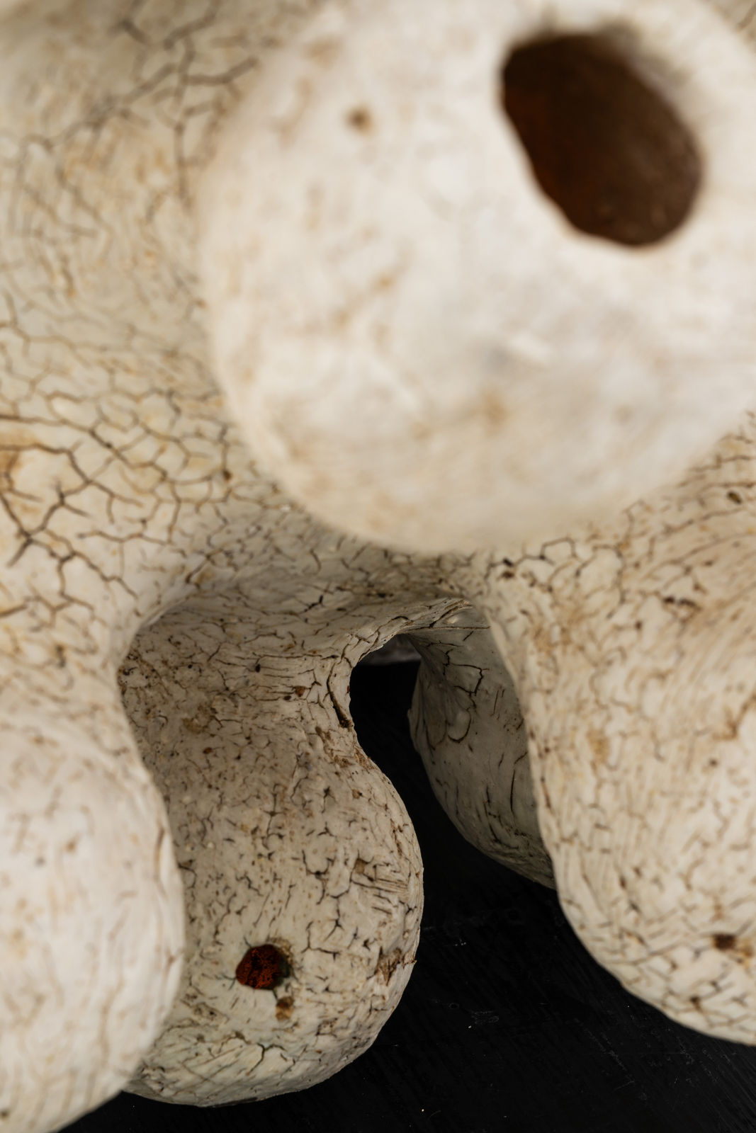 Agnès Debizet, "Sporange" lamp, 2022