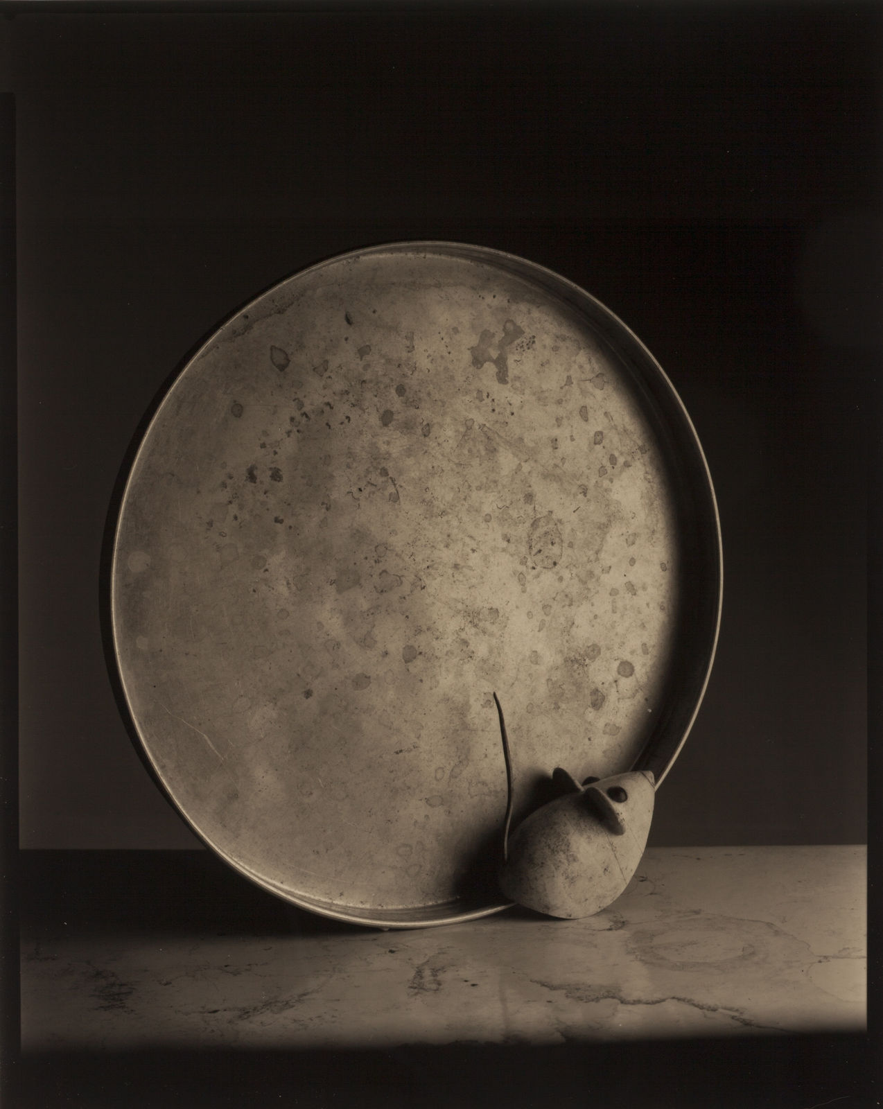 Boris Gaberščik, Freedom, 2017