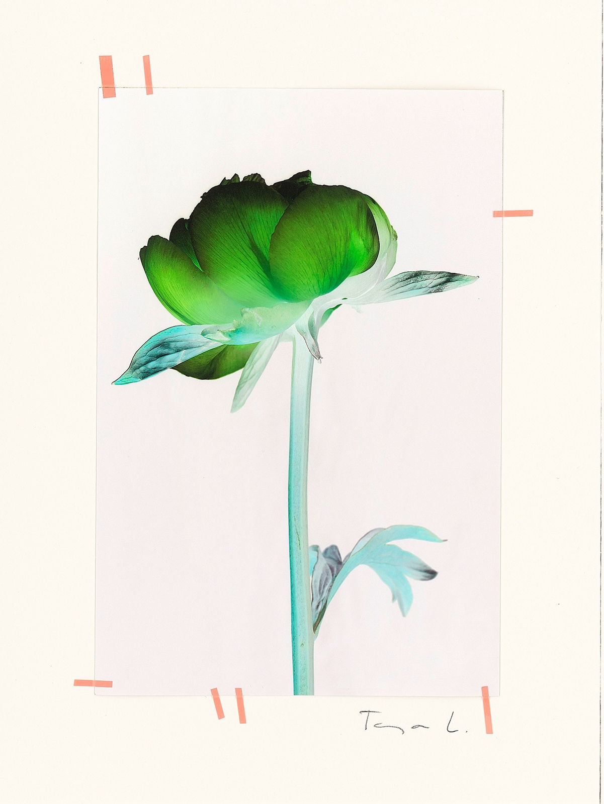 Tanja Lažetić, R#43, 2023