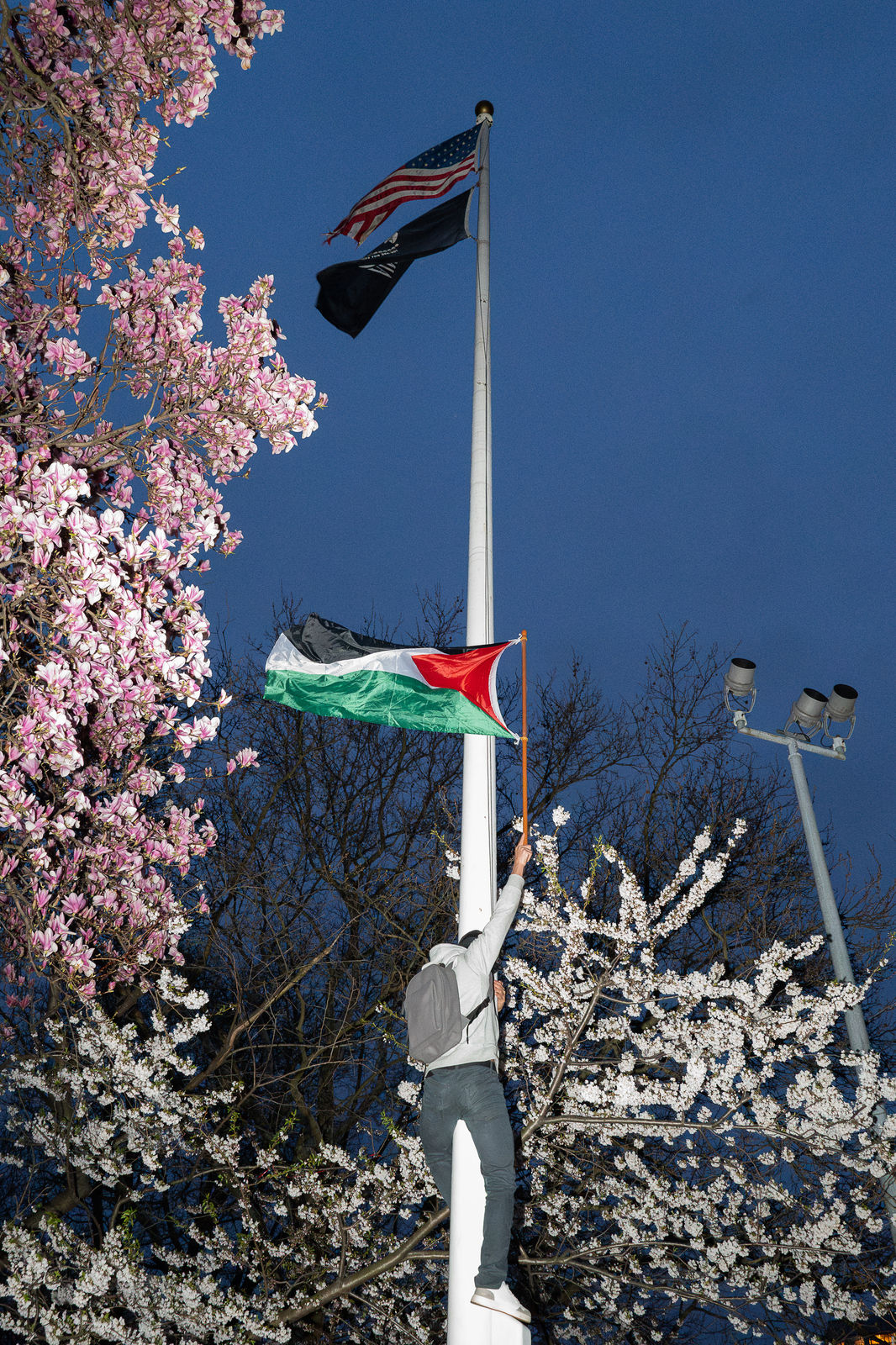 Nik Erik Neubauer, Washington Square Park, 2024