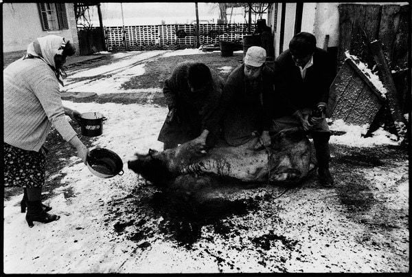 Stojan Kerbler, Kri / Blood, 1981