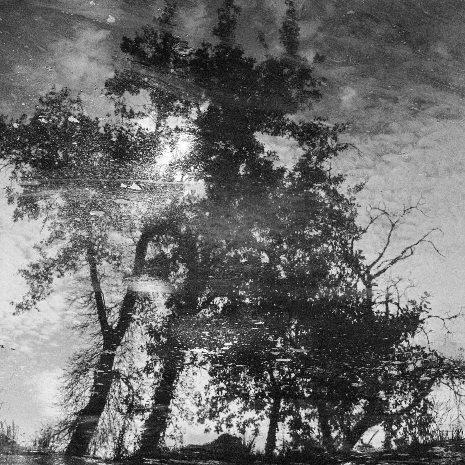 Andrej Lamut, Territory II, 2022