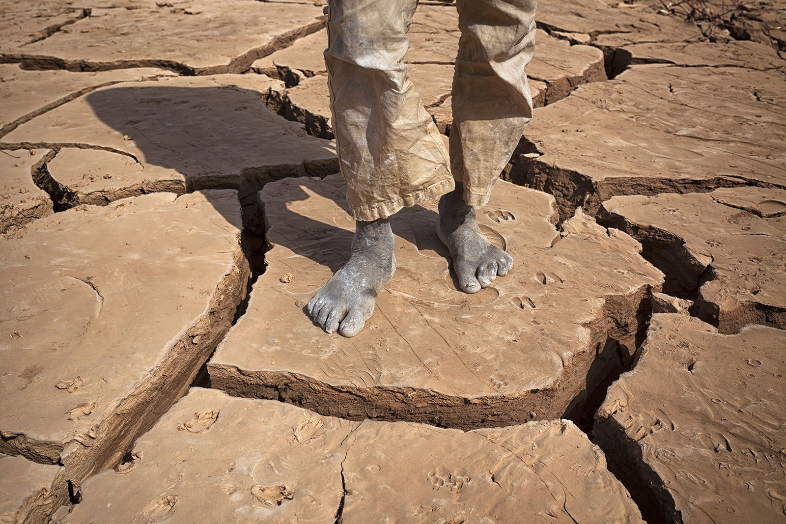 Matjaž Krivic, Digging the Future #18, 2015