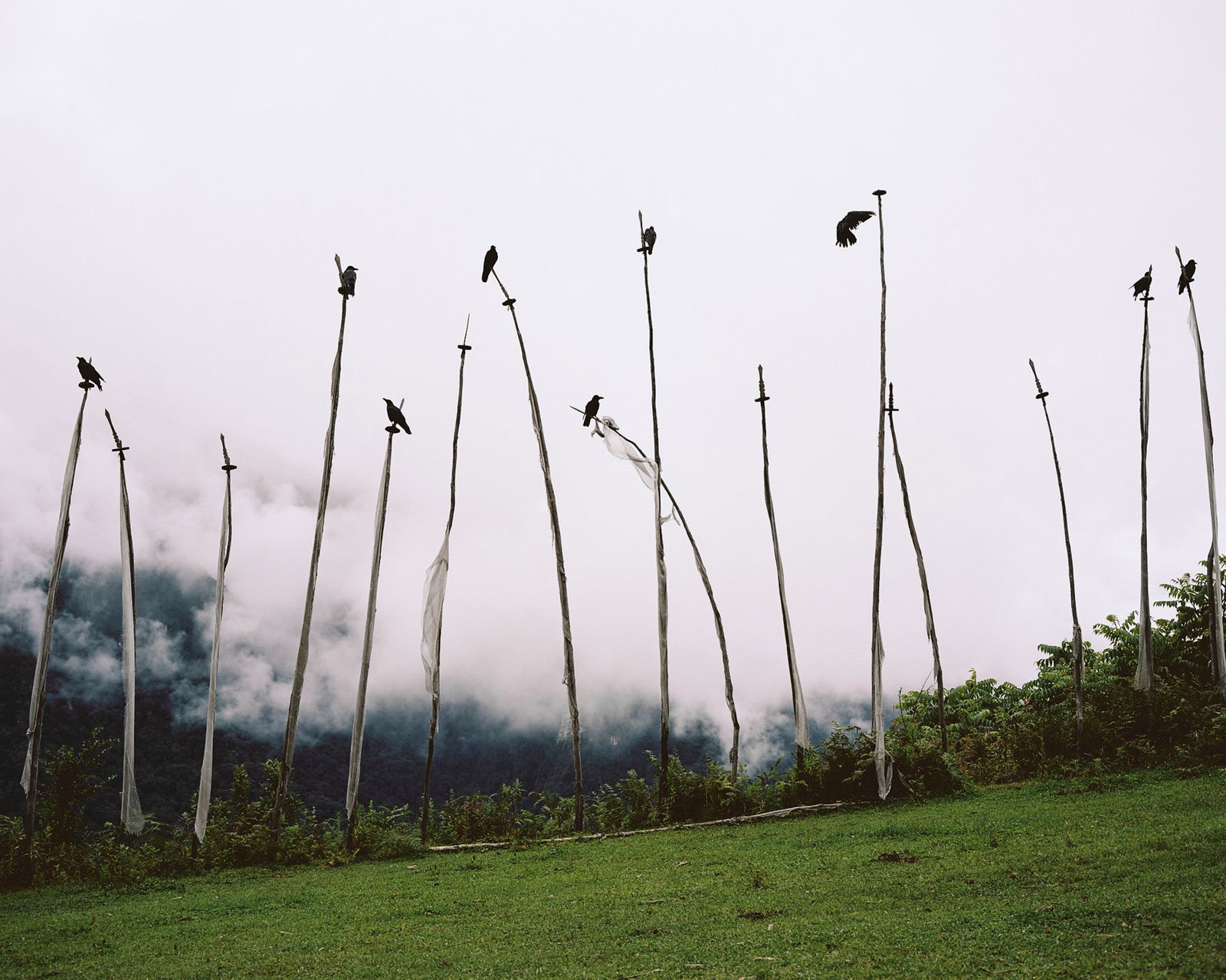 Ciril Jazbec, Bhutan #0027