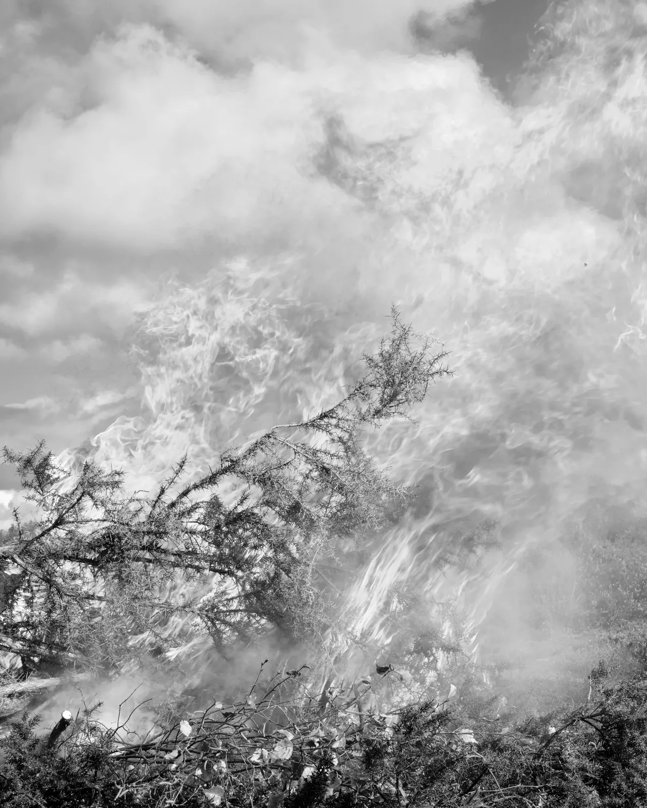 Ana Zibelnik, Fire, 2021