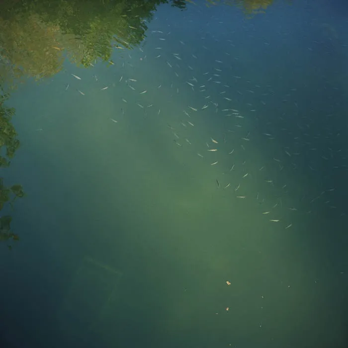 Boštjan Pucelj, Missing in Action #36, 2005