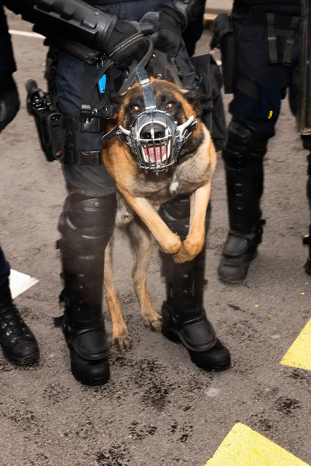 Nik Erik Neubauer, Where’s the Afters? #47, 2021