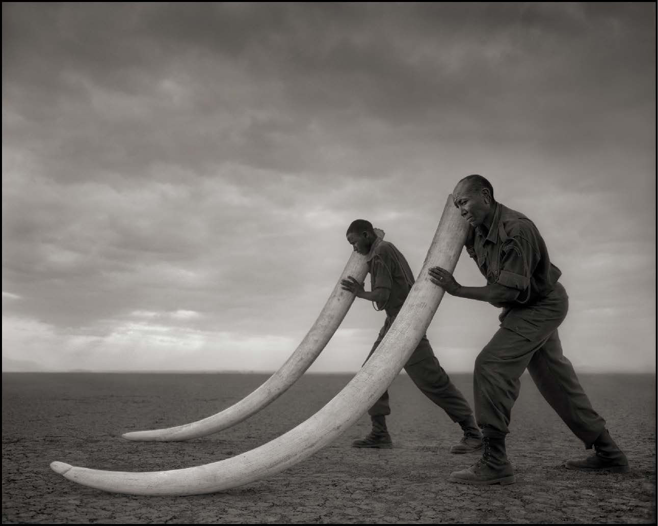 Nick Brandt, Two rangers with tusk of elephand killed with the hands of man, Amboseli, 2011