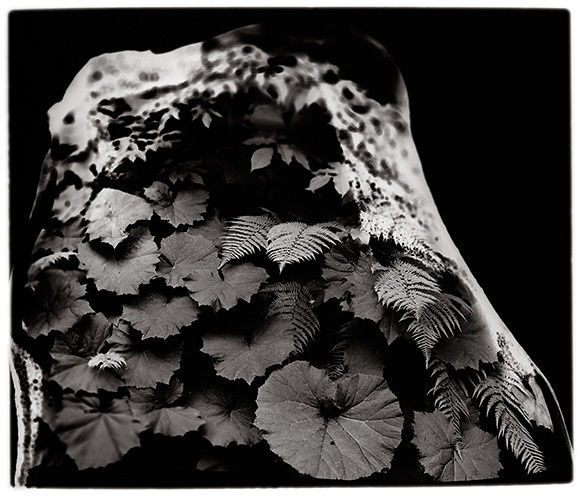 Janez Bogataj, Pastorala II/2, 1987