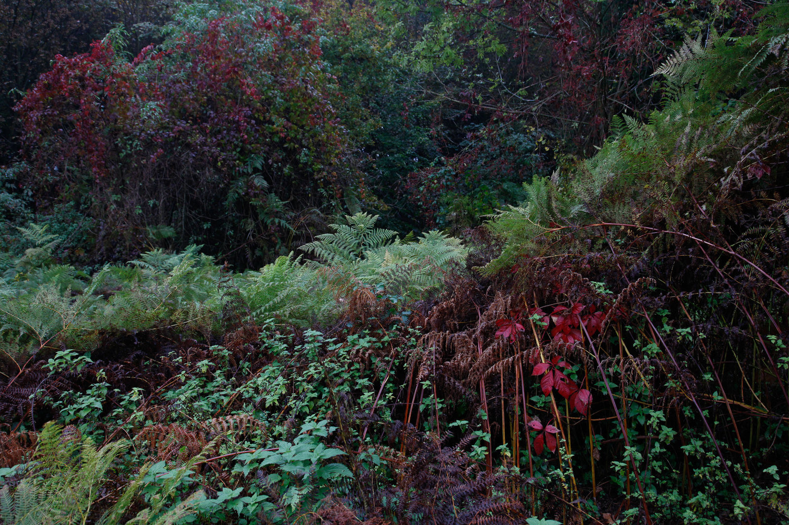 Janez Bogataj, Bagatelles #32, 2016